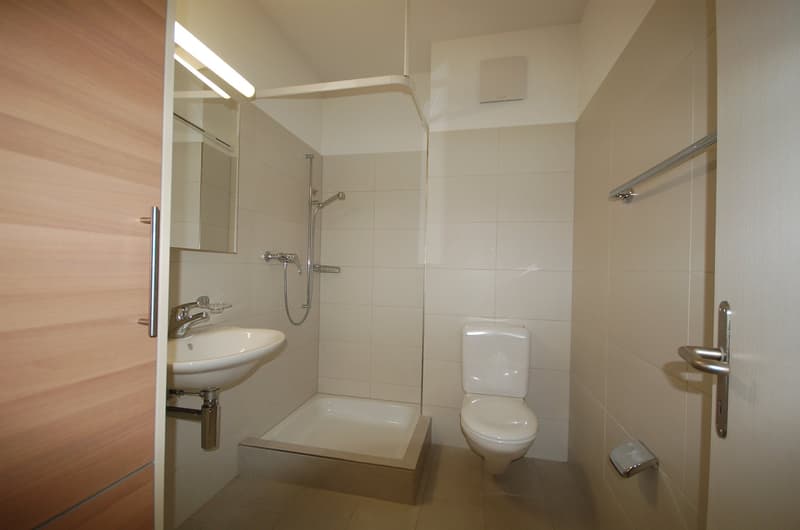 1-Zimmer-LOFT-Studio mit Gartensitzplatz (3)
