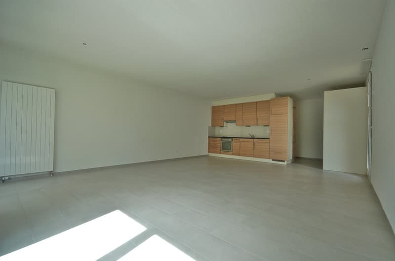1-Zimmer-LOFT-Studio mit Gartensitzplatz (2)