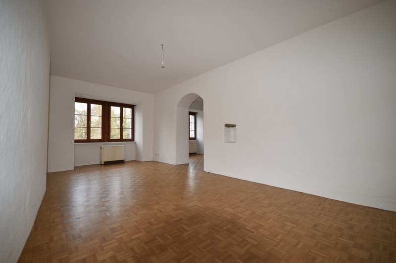 Charmante 2.5-Zimmerwohnung im EG (1)