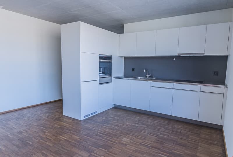 2.5 Zi-Wohnung im Frohsinn Thun (2)