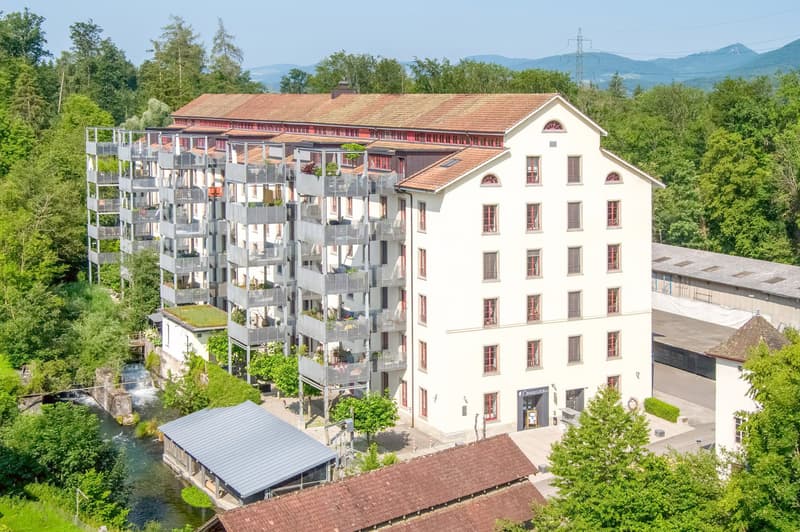 Exclusive 4.5-room attic loft on 2 floors – trendy living with style (1)