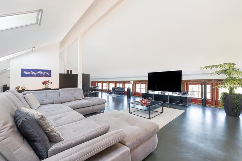Exclusive 4.5-room attic loft on 2 floors – trendy living with style (14)