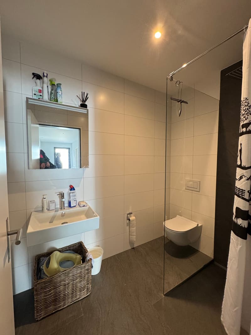 Appartamento 5,5 locali NWFL 162 m2 con posto a sedere in giardino / cantina / cantina del vino / tecnologia circa 60 m2 - in una casa di 2 famiglie (19)