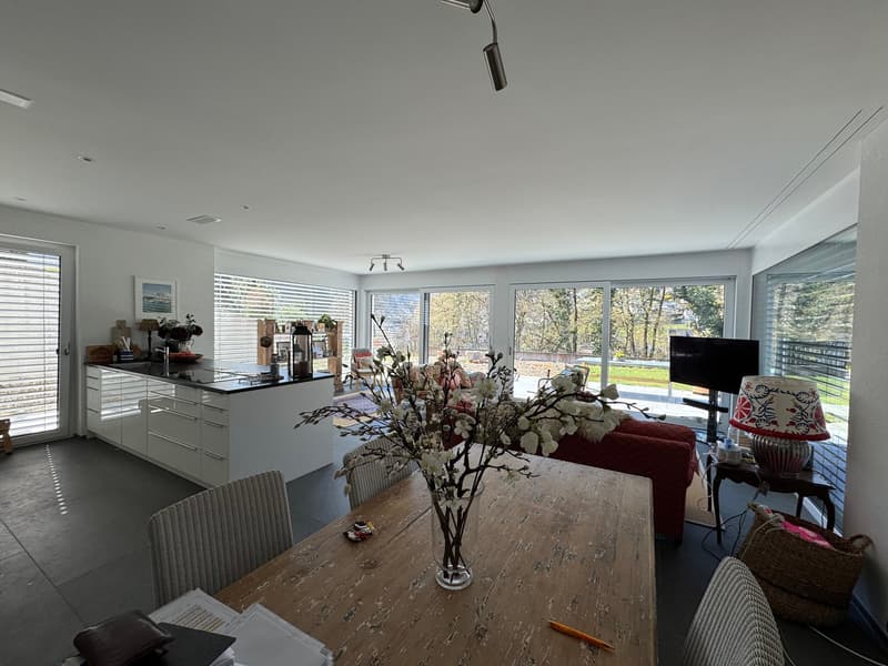 Appartamento 5,5 locali NWFL 162 m2 con posto a sedere in giardino / cantina / cantina del vino / tecnologia circa 60 m2 - in una casa di 2 famiglie (12)