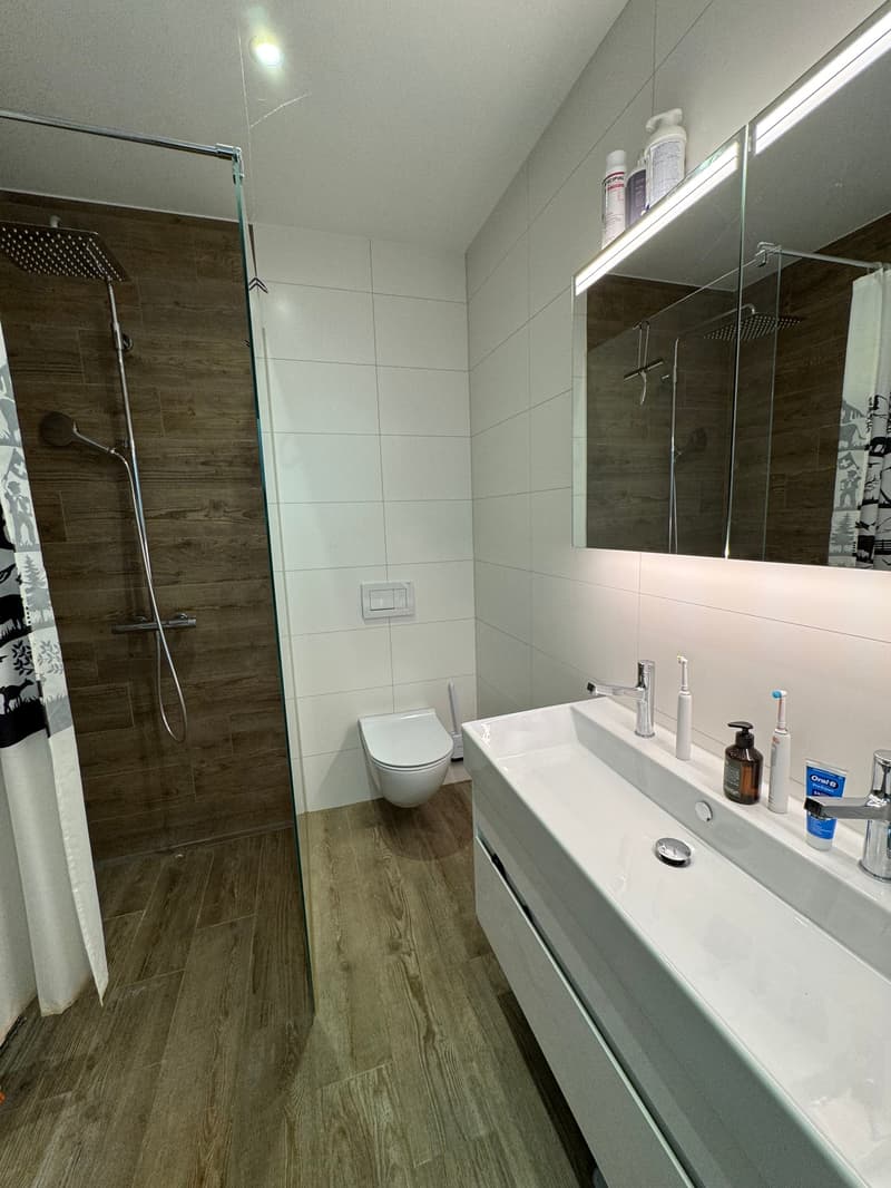 Appartamento 5,5 locali NWFL 162 m2 con posto a sedere in giardino / cantina / cantina del vino / tecnologia circa 60 m2 - in una casa di 2 famiglie (16)