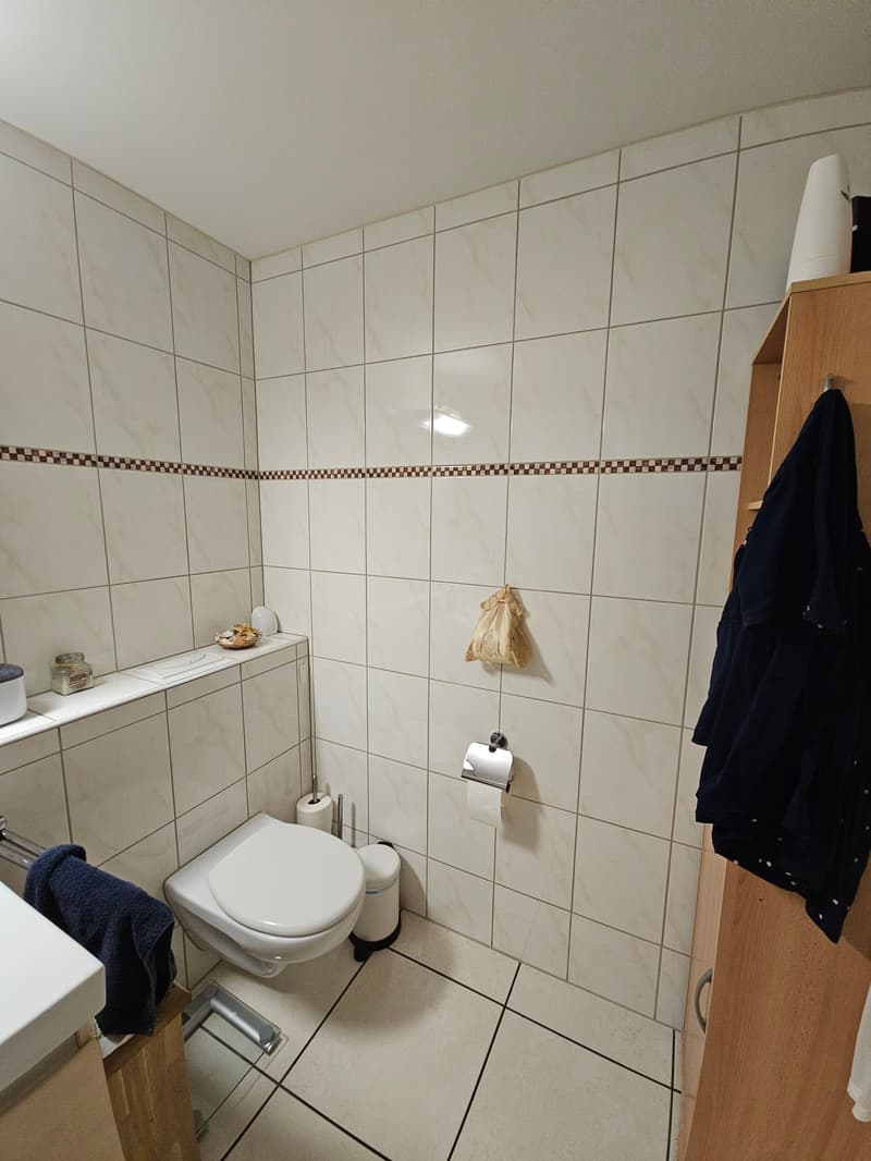 Peaceful living, close to the city in a 4-room apartment with balcony including 1 parking space in Binningen (19)