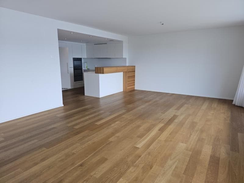 Bright 4.5-room Minergie-P apartment in Dornach (6)