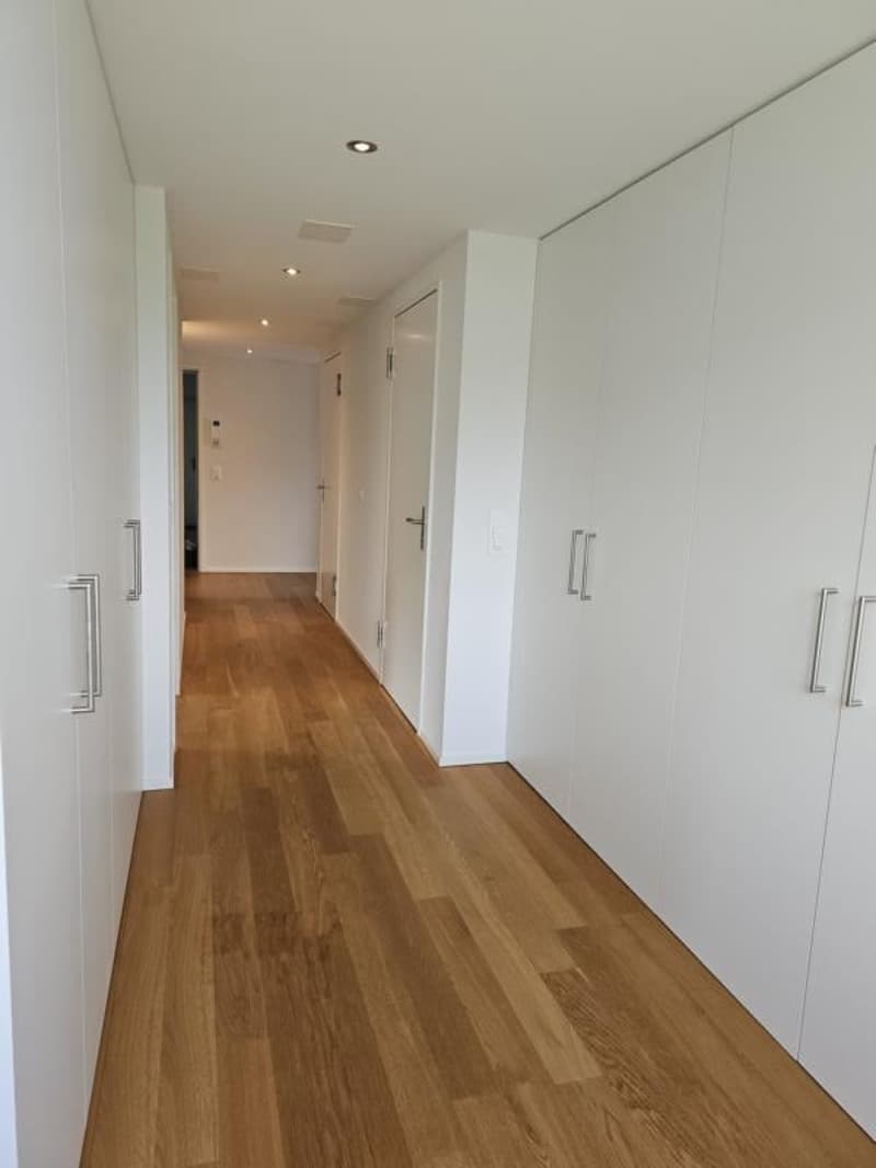 Bright 4.5-room Minergie-P apartment in Dornach (13)
