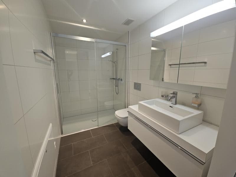Bright 4.5-room Minergie-P apartment in Dornach (9)