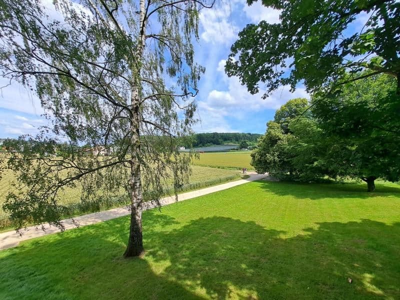 Charming 4.5-room apartment with balcony and beautiful view in Therwil (10)
