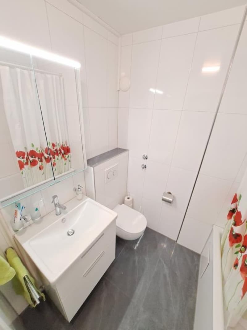 Charming 4.5-room apartment with balcony and beautiful view in Therwil (5)