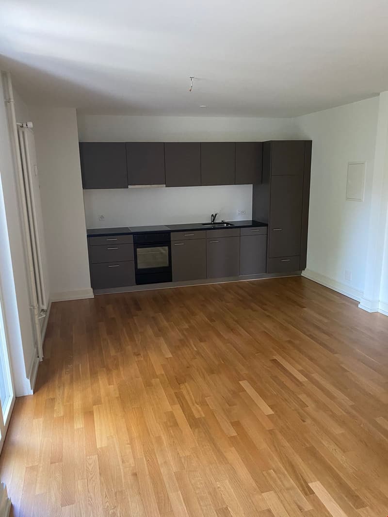 Quartiere di Klybeck, via laterale tranquilla, Haltingerstrasse 8 (4)