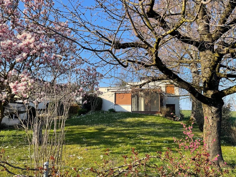 Casa unifamiliare di 5 locali con giardino d'inverno e ampio giardino con alberi secolari a Witterswil (2)