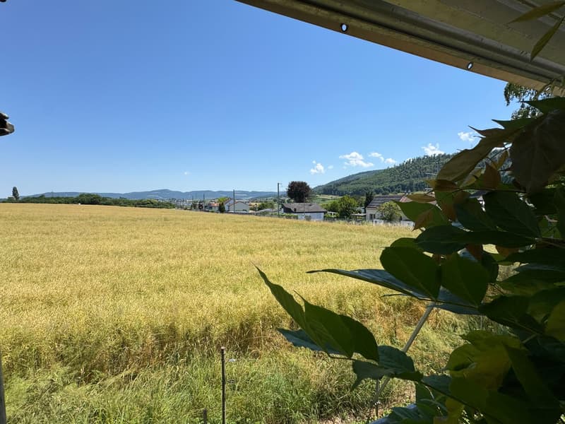 Casa unifamiliare di 5 locali con giardino d'inverno e ampio giardino con alberi secolari a Witterswil (6)