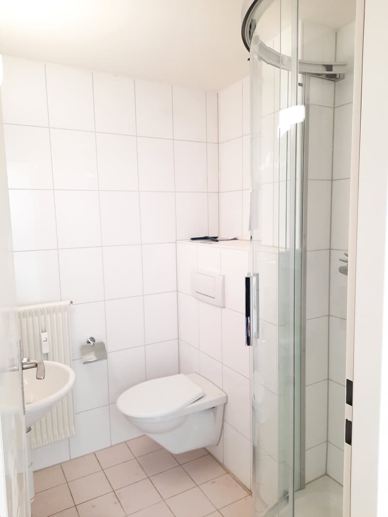 Gäste-Bad mit WC und Dusche