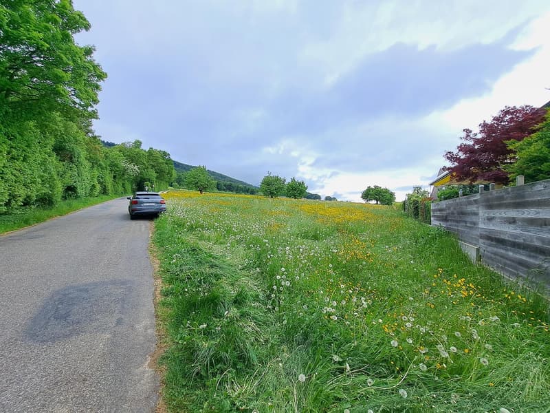 Attraktives Bauland in ruhiger Lage in Hofstetten-Flüh (3)