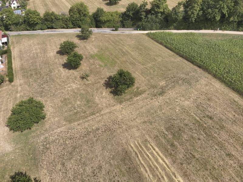 Attraktives Bauland in ruhiger Lage in Hofstetten-Flüh (5)