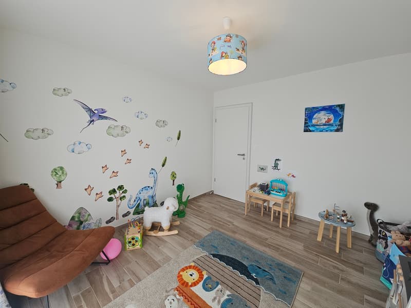 Casa unifamiliare moderna di 6 camere con piscina in una zona tranquilla di Leymen (41)