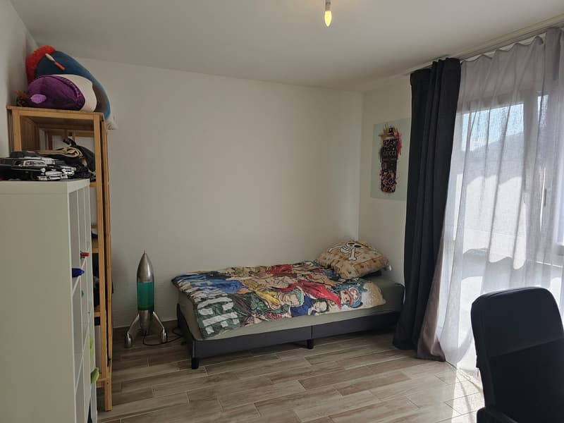 Casa unifamiliare moderna di 6 camere con piscina in una zona tranquilla di Leymen (43)