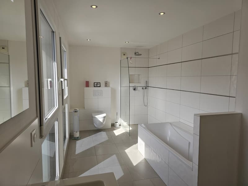 Casa unifamiliare moderna di 6 camere con piscina in una zona tranquilla di Leymen (47)