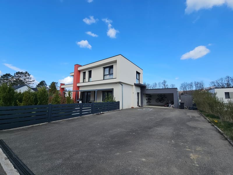 Casa unifamiliare moderna di 6 camere con piscina in una zona tranquilla di Leymen (8)