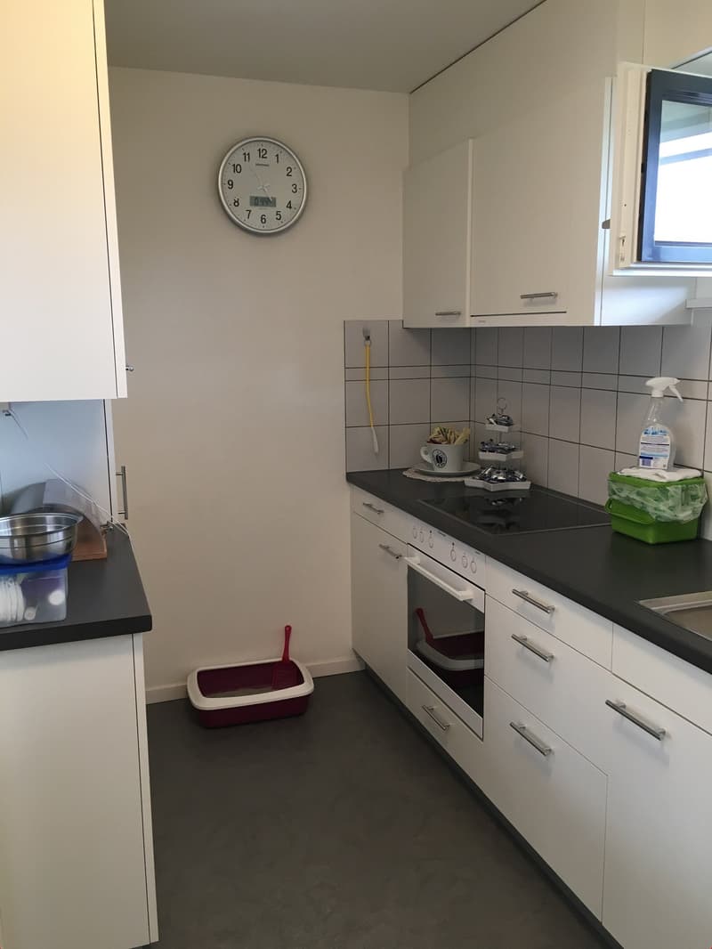 Küche mit Fenster und Schiebetüre zu Wohnraum linker Teil