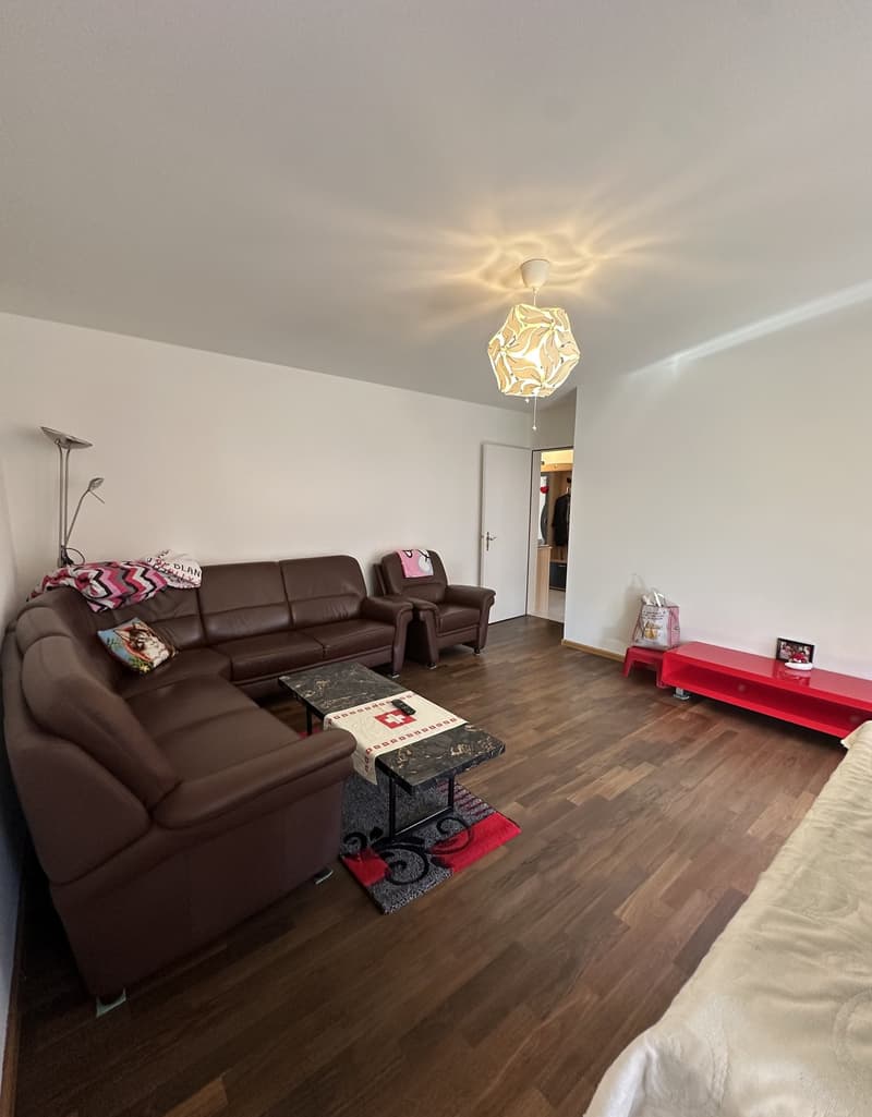 Helle 4-Zimmer-Wohnung mit Balkon an ruhiger Lage in Therwil (7)