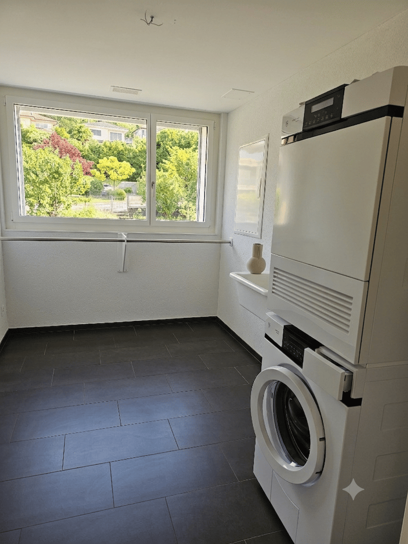 Lichtdurchflutete 4.5-Zimmer-Minergie-P-Wohnung in Dornach (10)