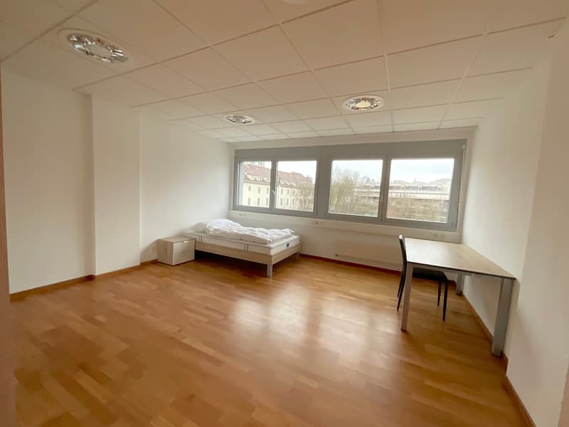Oggetto di rendita / 7 camere arredate tutte affittate (5)