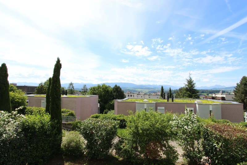 Magnificent 5.5-room apartment with breathtaking views of the Préalpes (1)