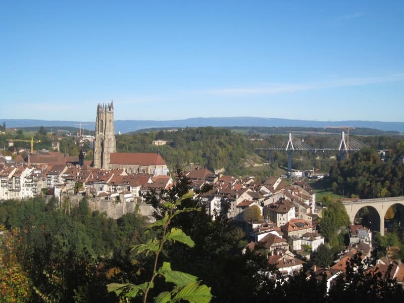 Immeuble centre-ville de Fribourg (1)