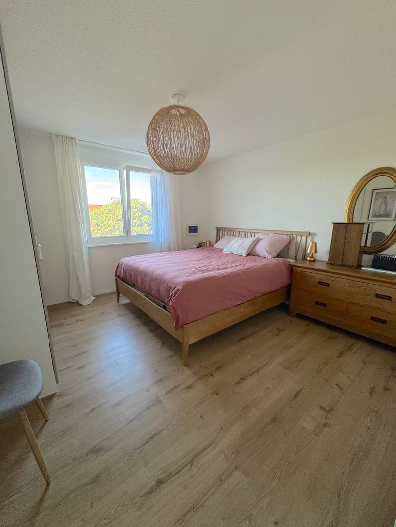 Appartement 4.5 pièces avec grand jardin privatisé de 576m2 (7)