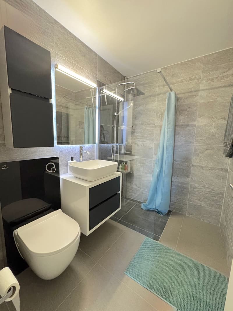 Appartement 4.5 pièces avec grand JARDIN PRIVE DE 576m2 (8)