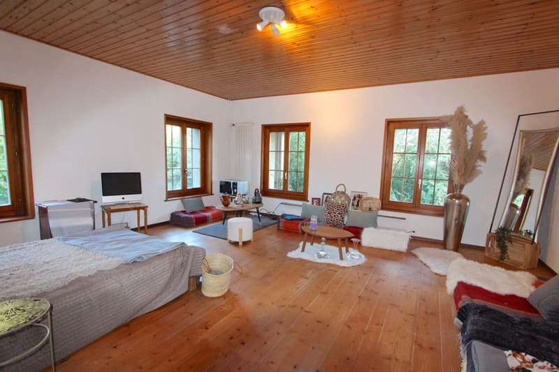 Appartement à vendre avec 2126m2 de terrain privé (8)