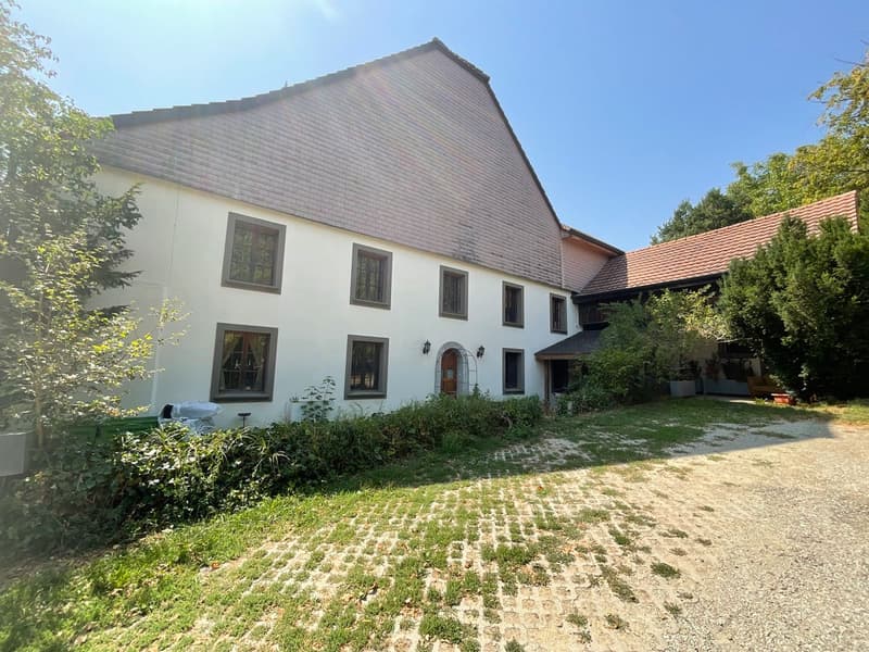 Appartement à vendre avec 2126m2 de terrain privé (3)