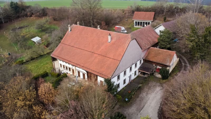 Appartement à vendre avec 2126m2 de terrain privé (2)