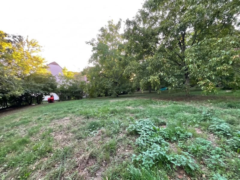 Appartement à vendre avec 2126m2 de terrain privé (10)