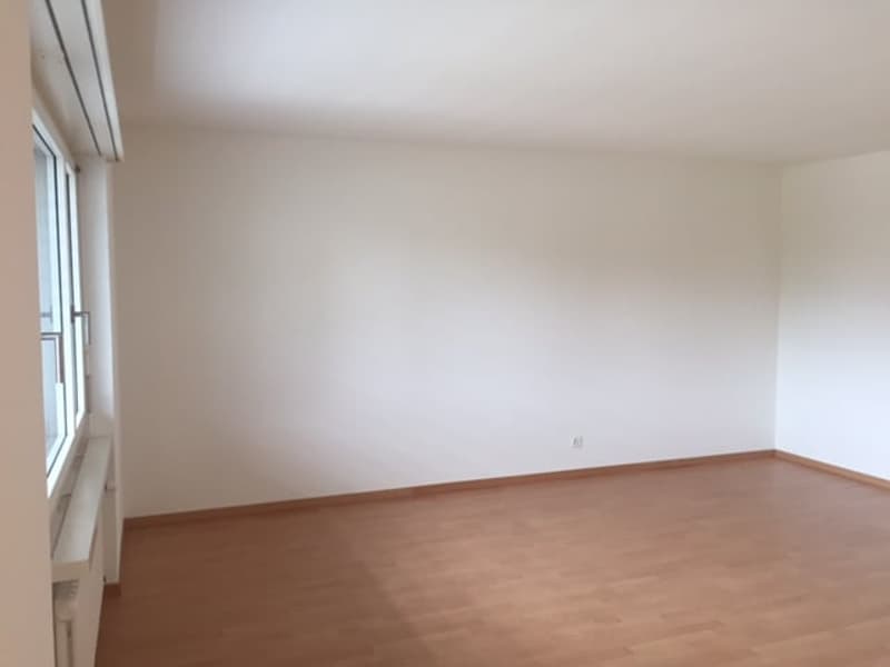 Appartement 1 pièce confortable avec balcon - situé au centre et bien desservi ! (5)