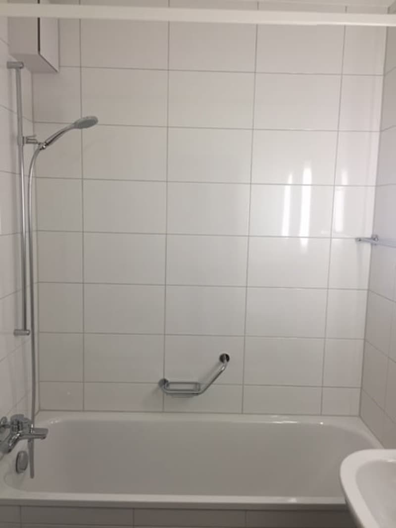 Appartement 1 pièce confortable avec balcon - situé au centre et bien desservi ! (8)