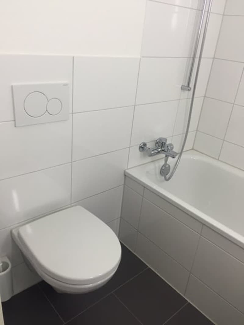 Appartement 1 pièce confortable avec balcon - situé au centre et bien desservi ! (7)