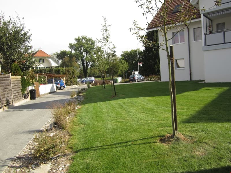 Umgebung