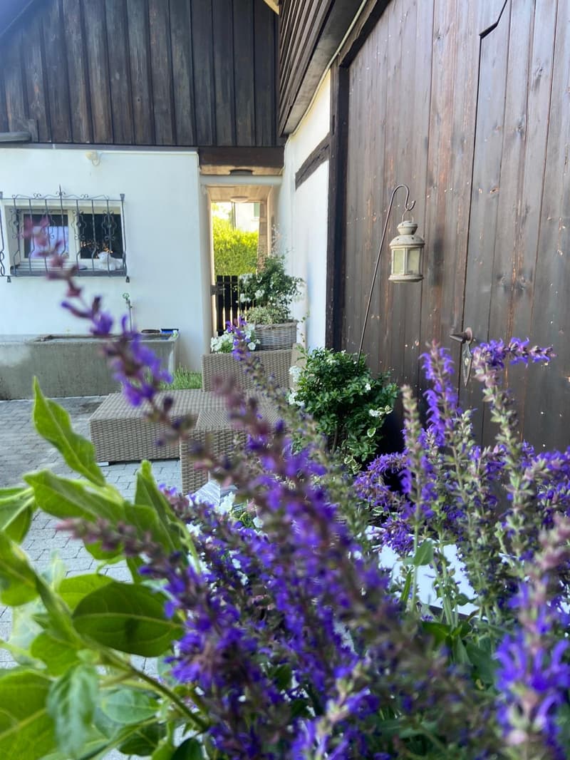 Charming 2.5-room old building apartment with terrace in Subingen (14)