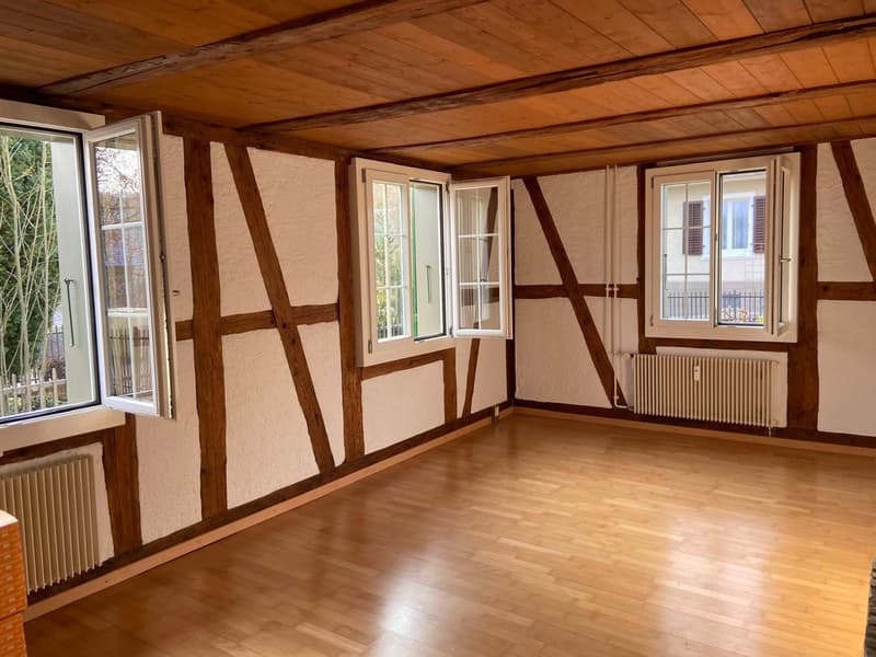 Charming 2.5-room old building apartment with terrace in Subingen (5)
