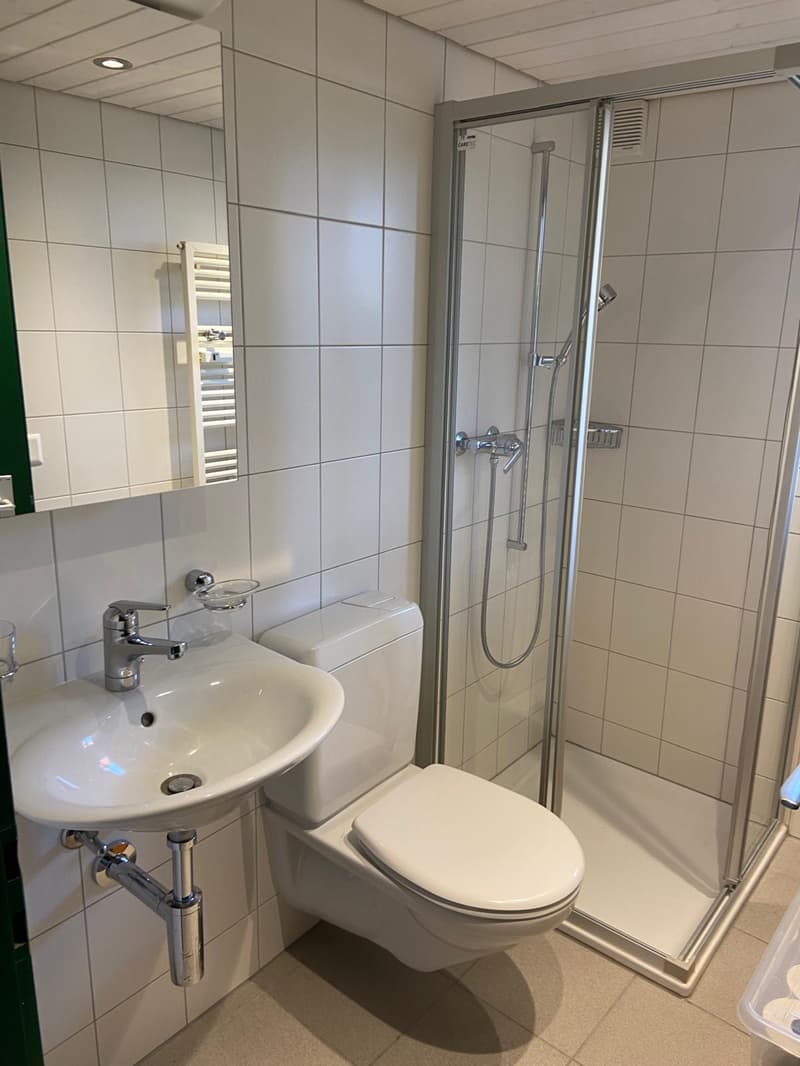 Charming 2.5-room old building apartment with terrace in Subingen (7)
