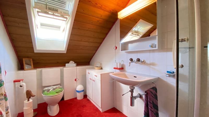 🌟 8-Zimmer-Einfamilienhaus mit Pool und vielseitigem Raumangebot in Niederbipp (15)