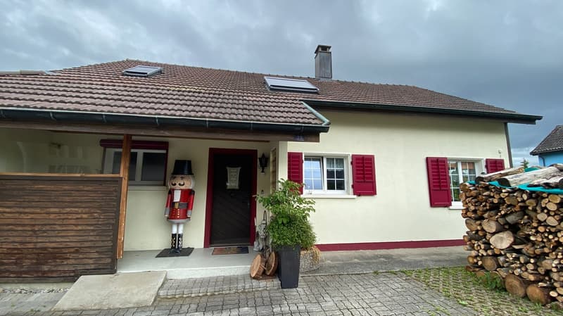 🌟 8-Zimmer-Einfamilienhaus mit Pool und vielseitigem Raumangebot in Niederbipp (1)