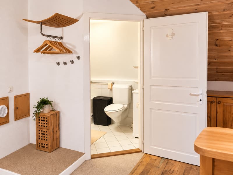 1.5-Zimmer-Dachwohnung im Grünen zu vermieten (3)