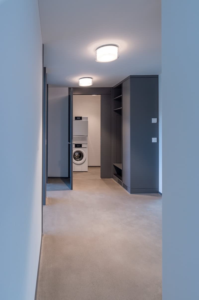 Garderobe im Eingangsbereich, separates Reduit mit Waschturm