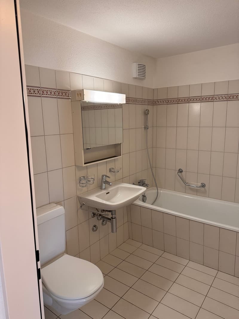 Large 4.5-room central apartment near the old town (12)