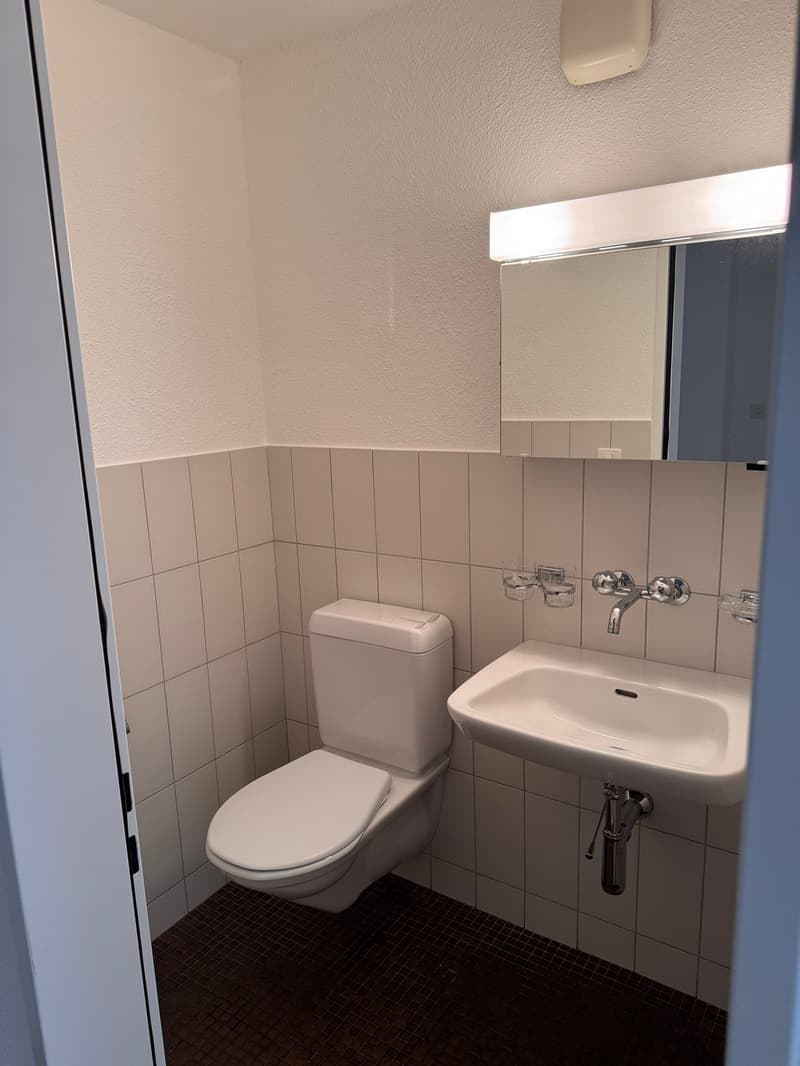 Large 4.5-room central apartment near the old town (11)